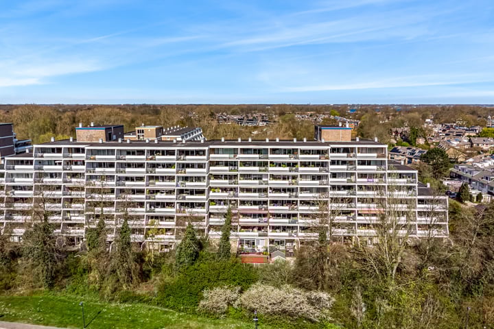 Stadzicht 77 in Leiden foto