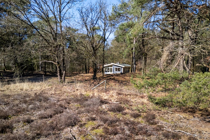 Stakenberg 75-0027 in Elspeet foto