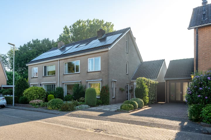 Standerdmolen 9 in Vianen foto