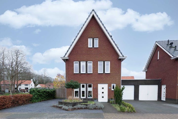 Steenuil 1 in Bosschenhoofd foto