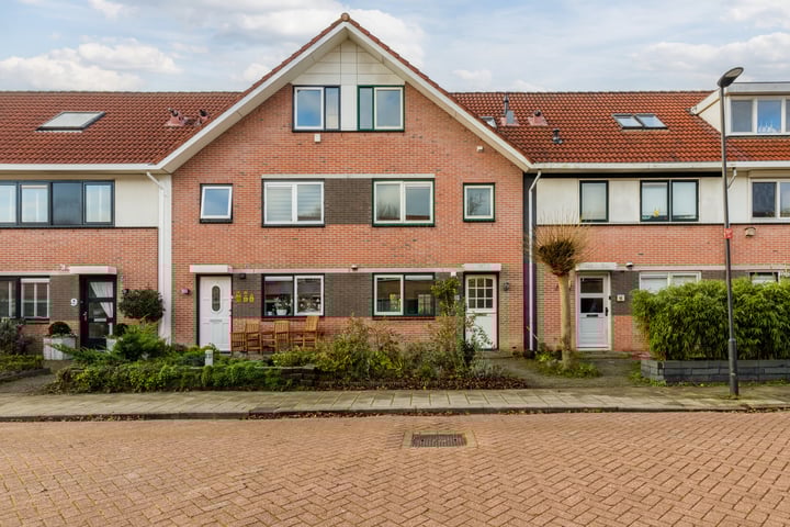 Steenuil 13 in Heerhugowaard foto