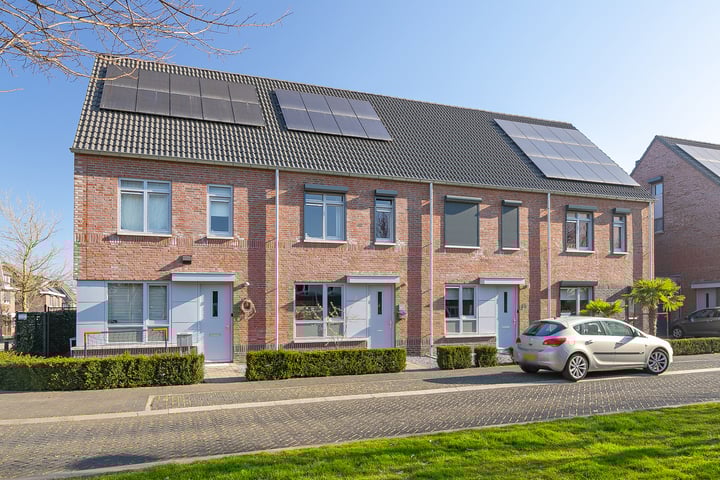 Steenuil 47 in Eijsden foto
