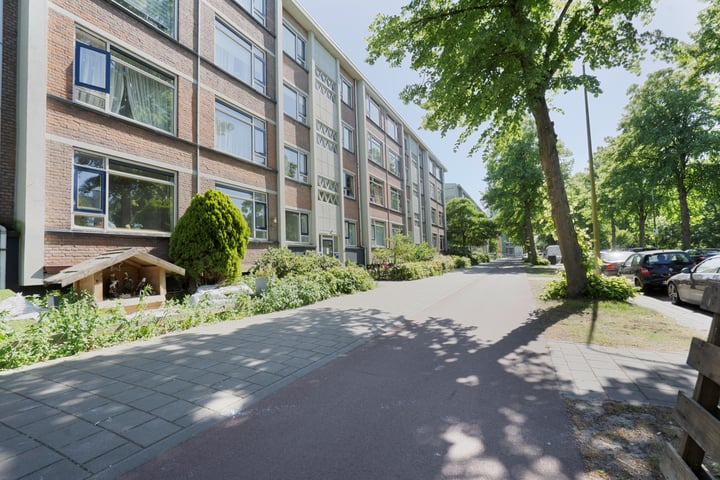 Steenwijklaan 298 in 's-Gravenhage