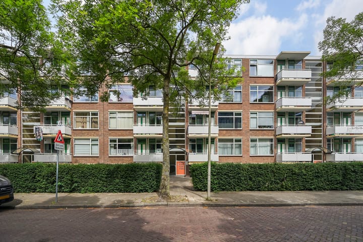 Steenzicht 99 in 's-Gravenhage