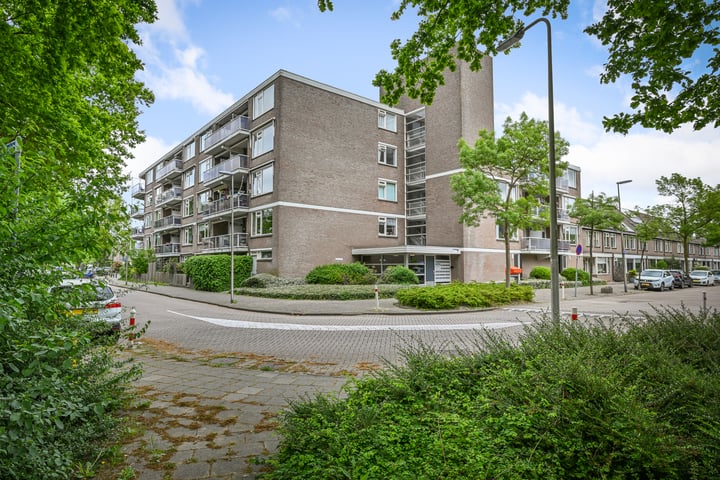 Stellingmolen 81 in Alphen aan den Rijn