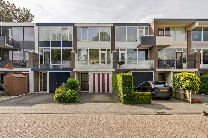 Stenen Beer 8 in Gorinchem foto