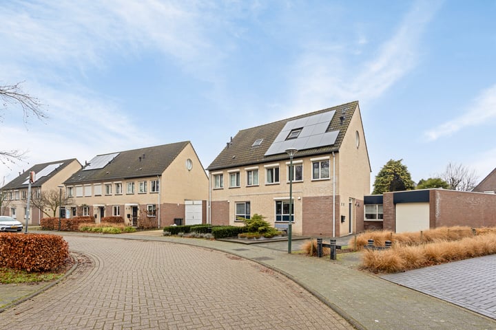 Sterappel 14 in Asten foto