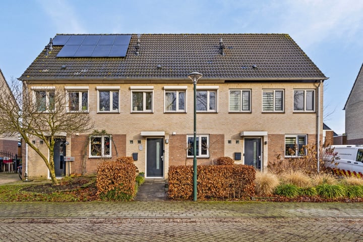 Sterappel 17 in Asten foto