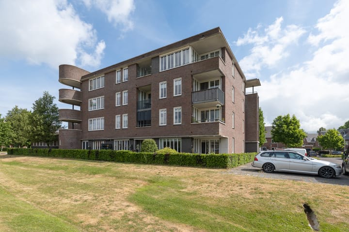 Sterappel 40 in Barneveld foto