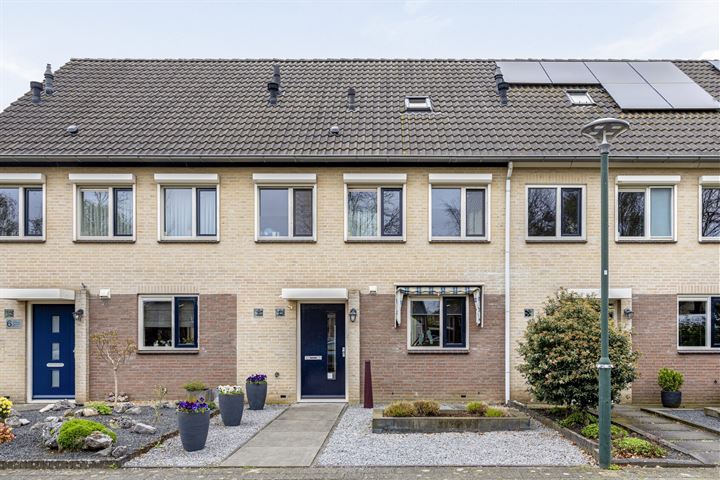 Sterappel 5 in Asten foto