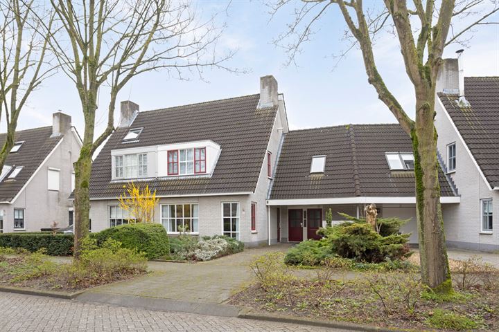 Sterappel 62 in Geldermalsen foto