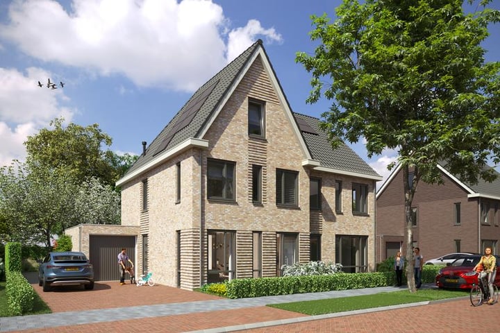 Sterdahlia 6 in Winkel foto