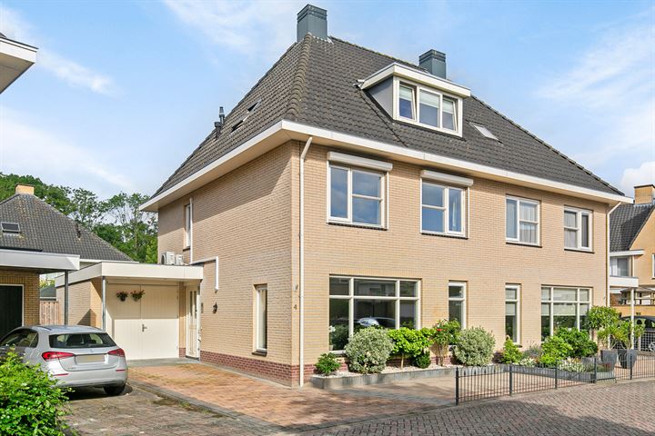 Sterhyacint 4 in Swifterbant foto