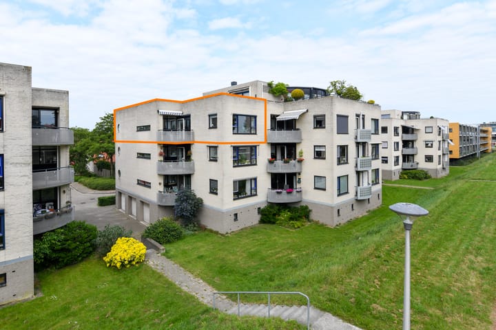 Sterrekruid 49 in Zeewolde foto