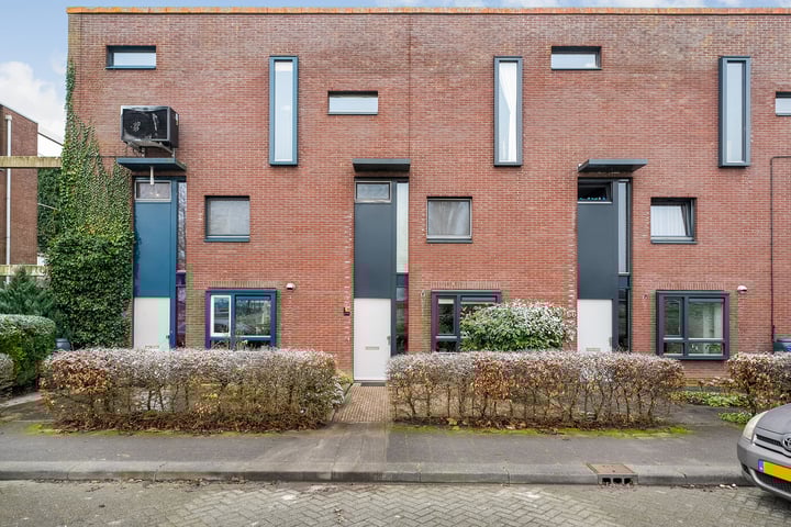 Sterrenmos 68 in Zwolle foto