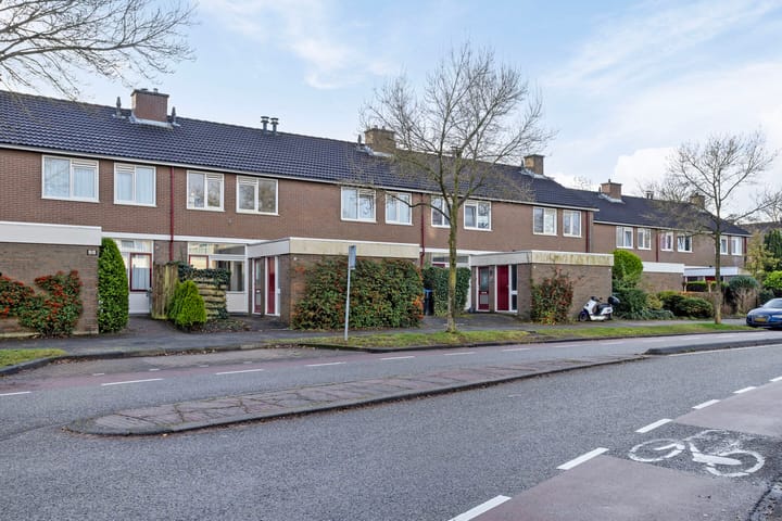 Stinzenflora 96 in Leeuwarden