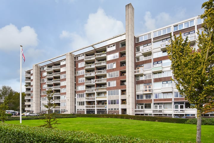 Stokroosstraat 251 in 's-Gravenhage foto