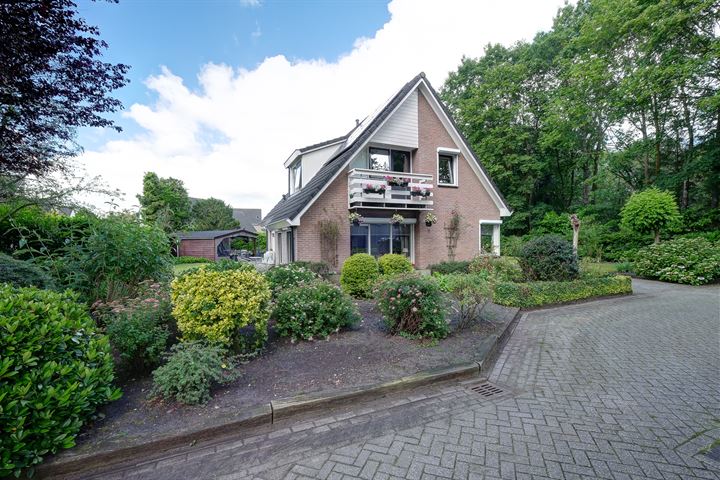 Struikheide 2 in Sleen foto