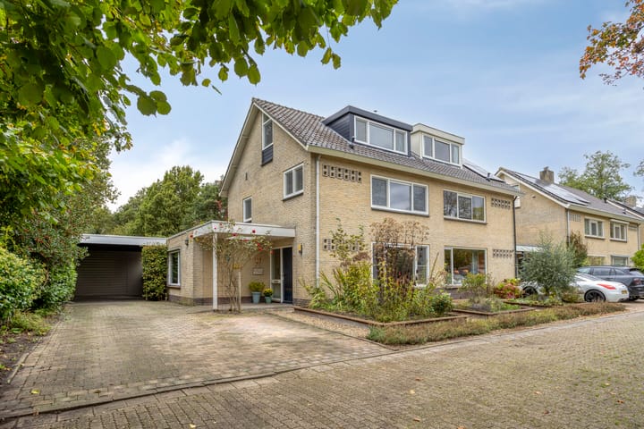 Struikstuk 48 in Epe foto