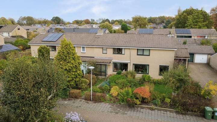 Struisgras 8 in Gouda foto