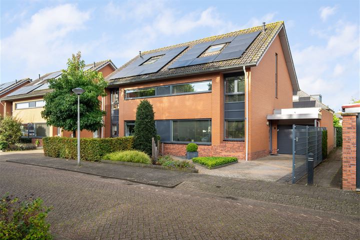 Struisvaren 1 in Bergschenhoek foto