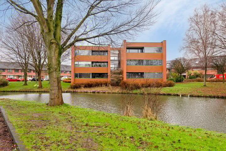 Struisvaren 18 in Bergschenhoek foto