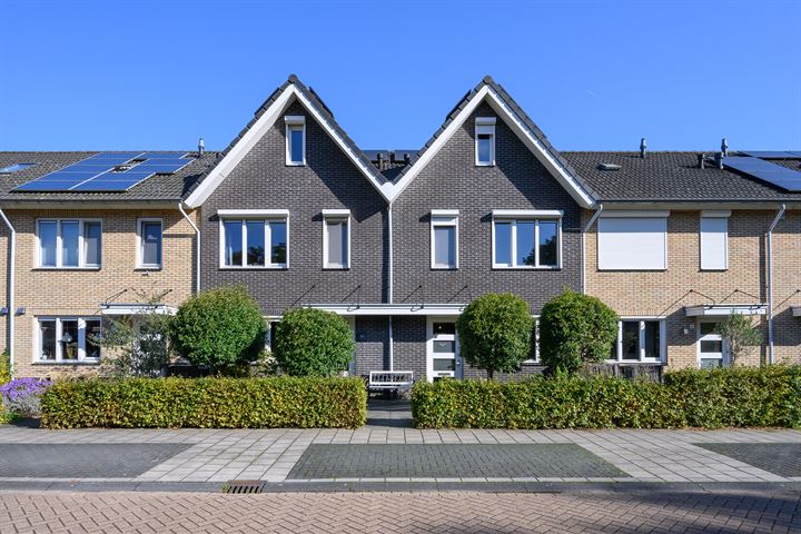 Stuifzand 8 in Eerbeek foto