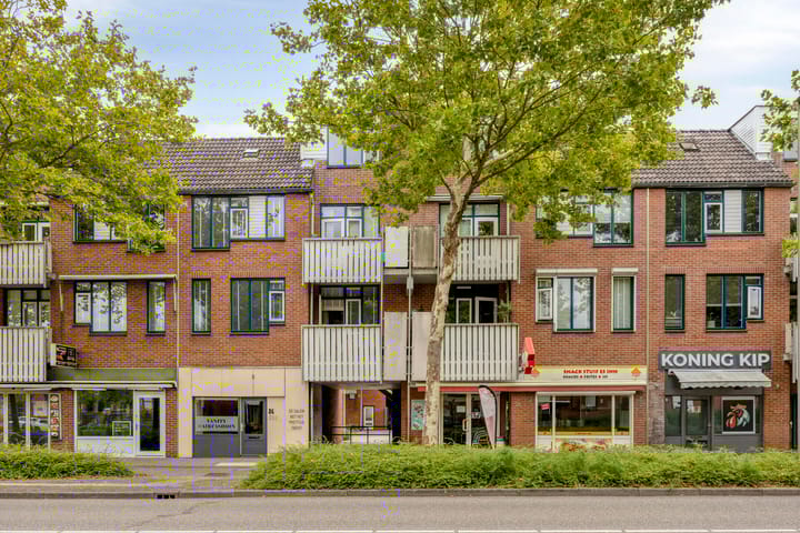 Stuifzwam 60 in Alphen aan den Rijn foto