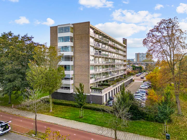 Suzannaland 362 in 's-Gravenhage