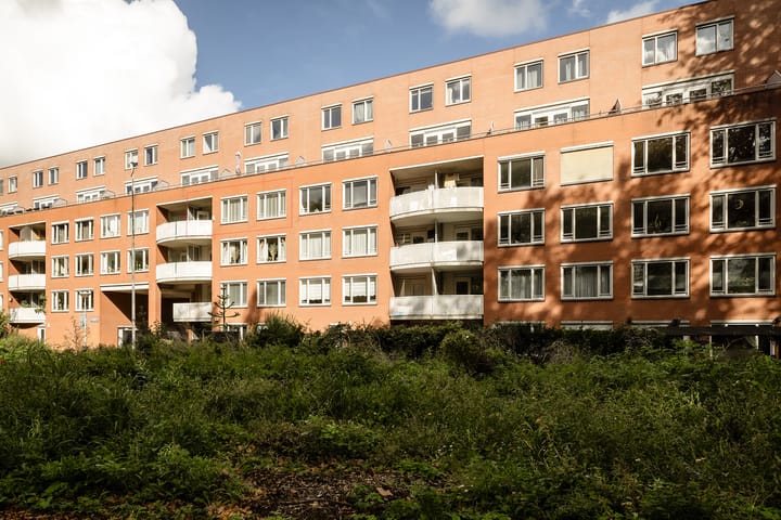 Suze Groenewegplantsoen 81 in Amsterdam