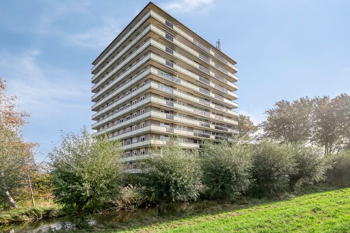 Suze Groenewegstraat 203 in Purmerend foto