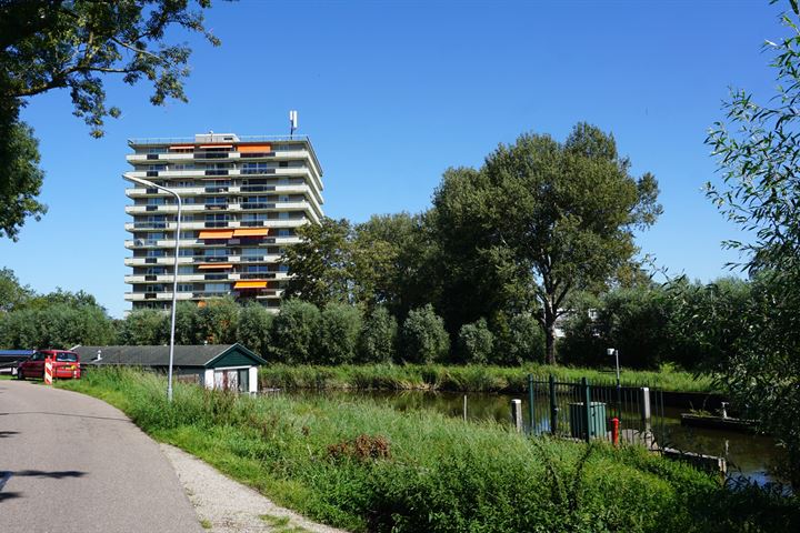 Suze Groenewegstraat 219 in Purmerend foto