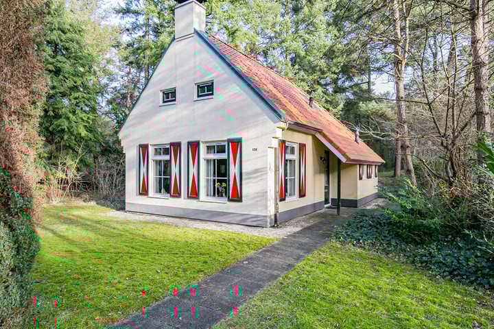 't Hertenspoor 129 in Diever foto