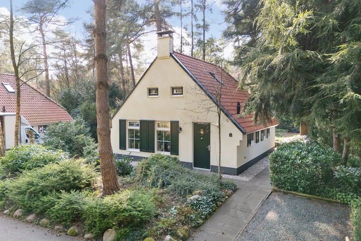 't Hertenspoor 136 in Diever foto