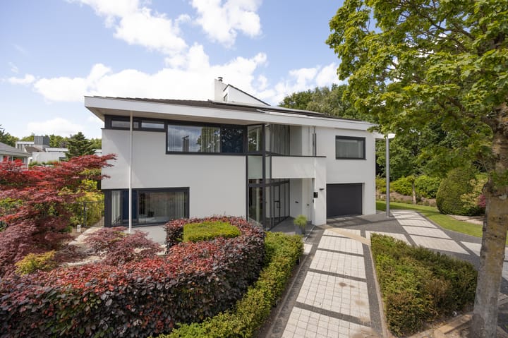 Taconietdijk 2 in Roosendaal foto