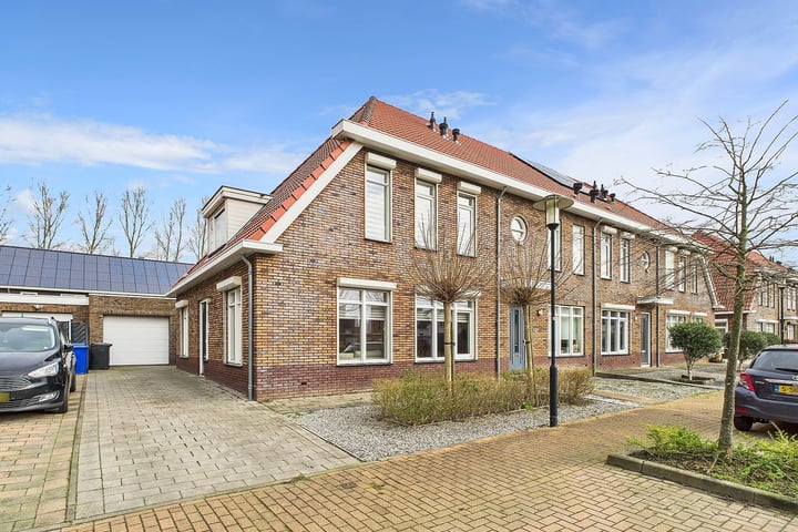 Tapijtschelp 30 in Terneuzen foto