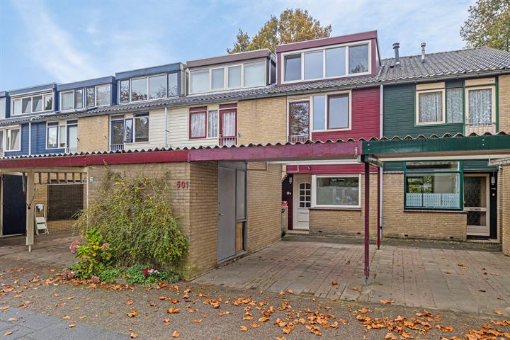 Tarthorst 501 in Wageningen foto