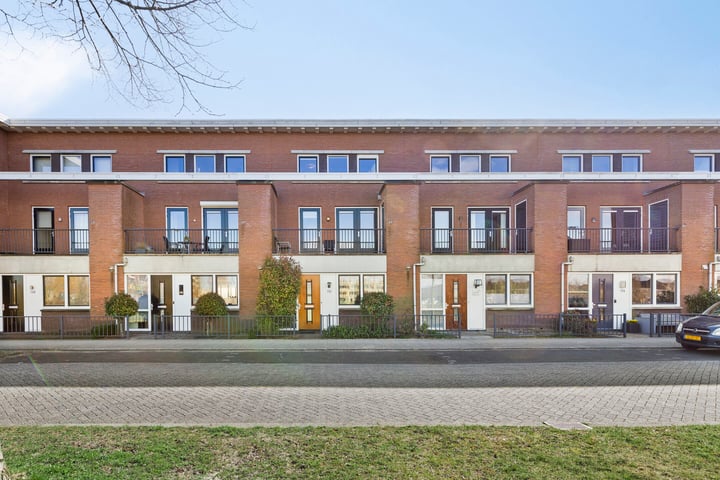 Tasmanië 132 in Zoetermeer foto