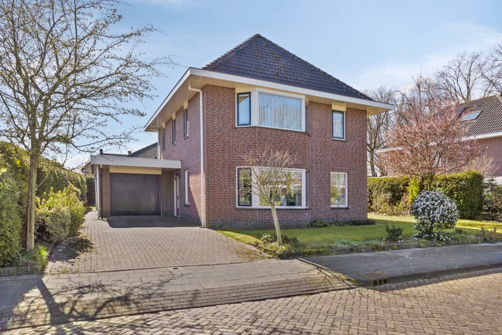 Taxus 2 in Heerenveen foto