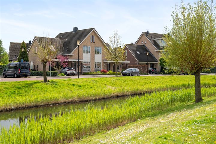 Taxushout 6 in Barendrecht foto