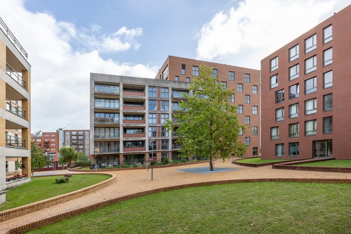 Teakhout 100 in Zaandam foto