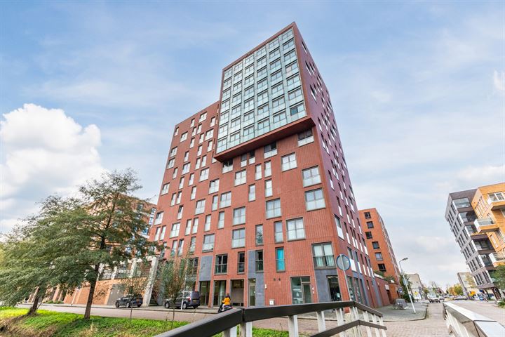 Teakhout 30 in Zaandam foto