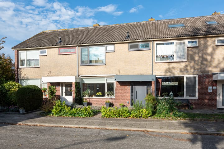 Termijen 42 in Heiloo