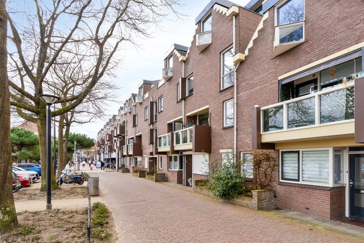Terwaenen 66 in Oss foto