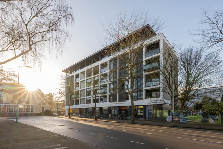 Tesselschadelaan 54 in Eindhoven foto
