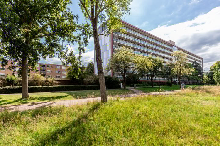 Texelhof 45 in Haarlem foto