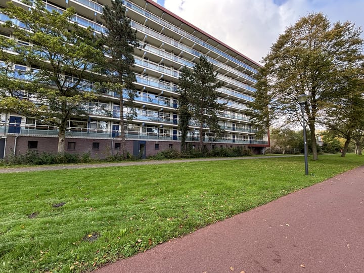 Texelhof 7 in Haarlem foto