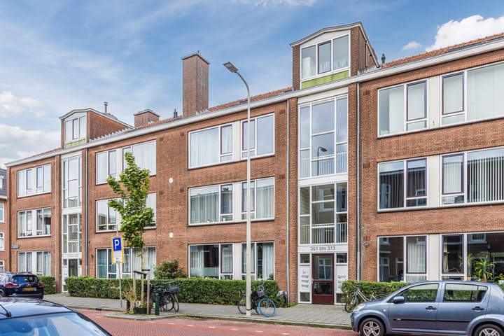 Theresiastraat 311 in 's-Gravenhage