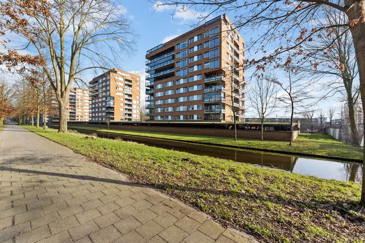 Theseusstraat 239 in Rotterdam foto