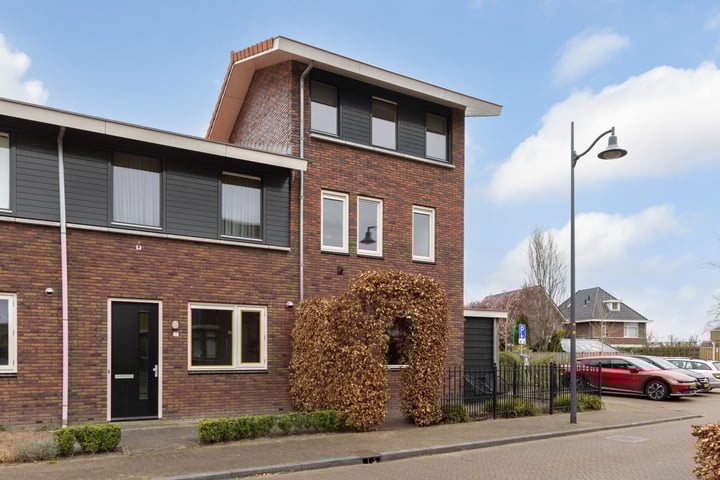 Tijgervlinder 14 in Nijkerk foto